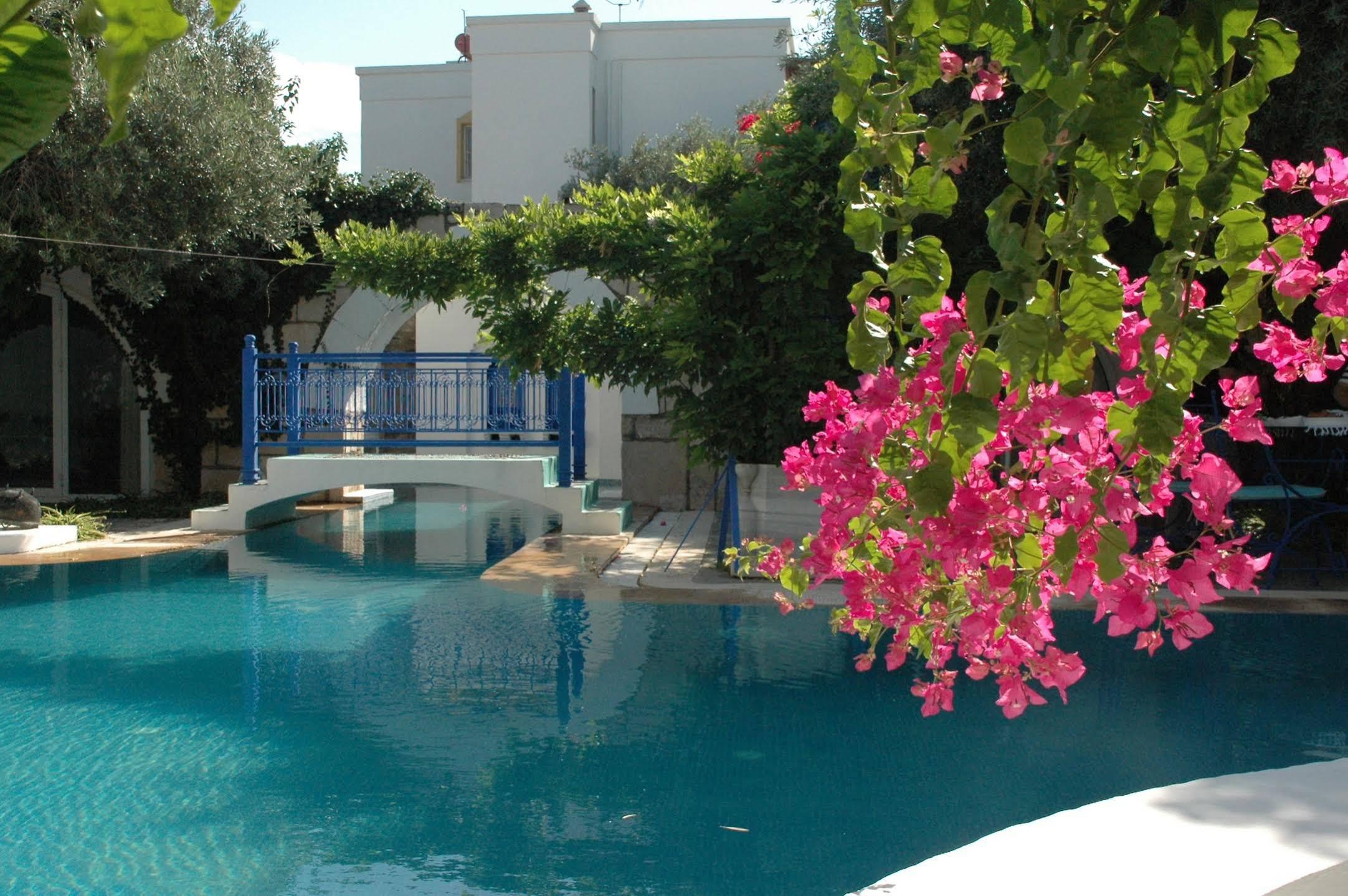 Villa Oliva Butik Hotel Konacik Buitenkant foto