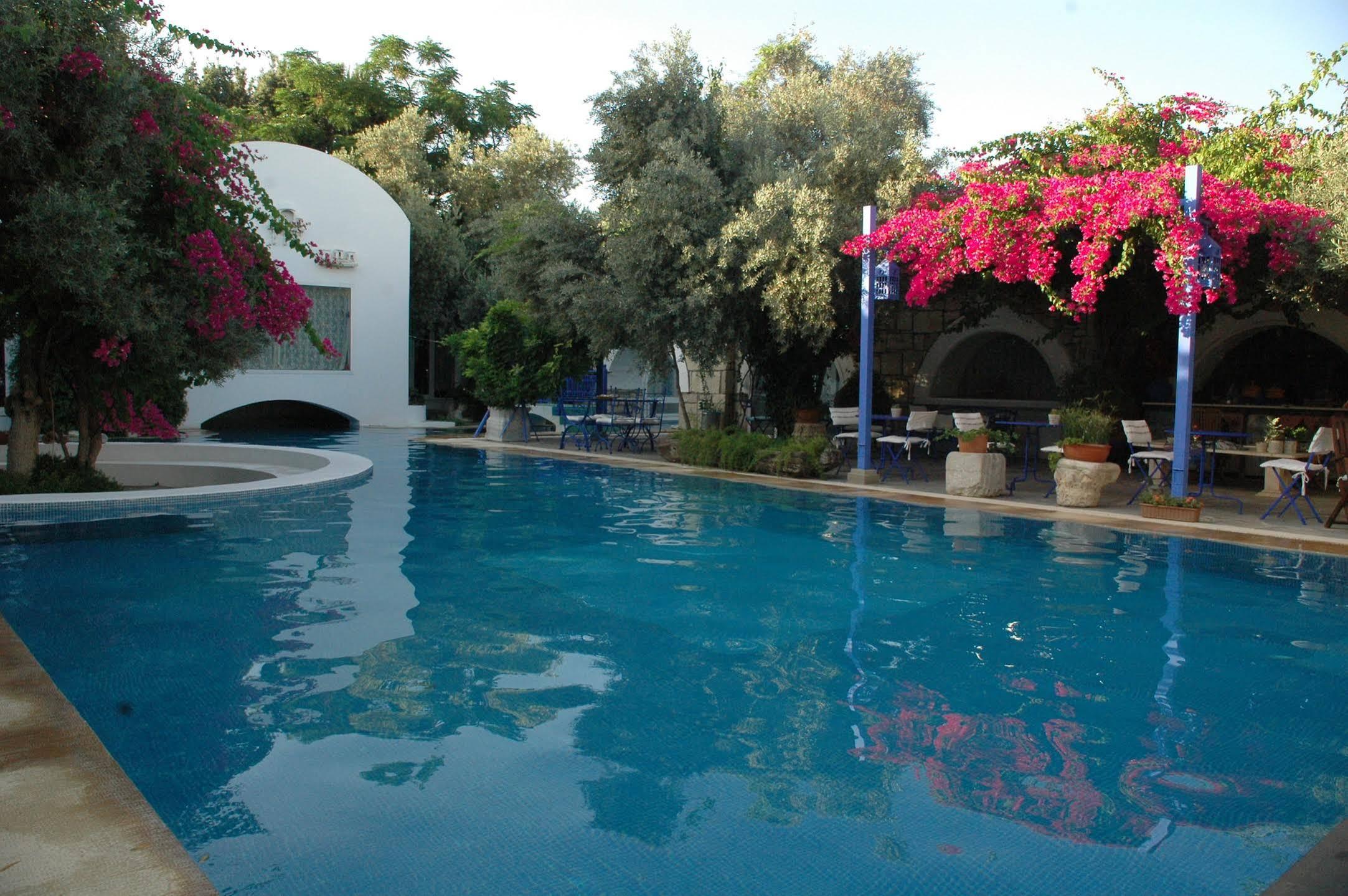 Villa Oliva Butik Hotel Konacik Buitenkant foto